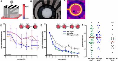 A Novel Thermal-Visual Place Learning Paradigm for <mark class="highlighted">Honeybees</mark> (Apis mellifera)